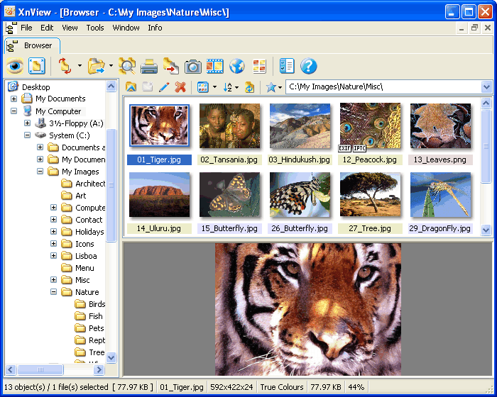 browser-700x560.gif